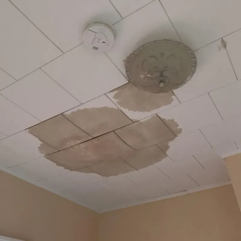 Ceiling Water Damage Repair in Blue Earth, MN