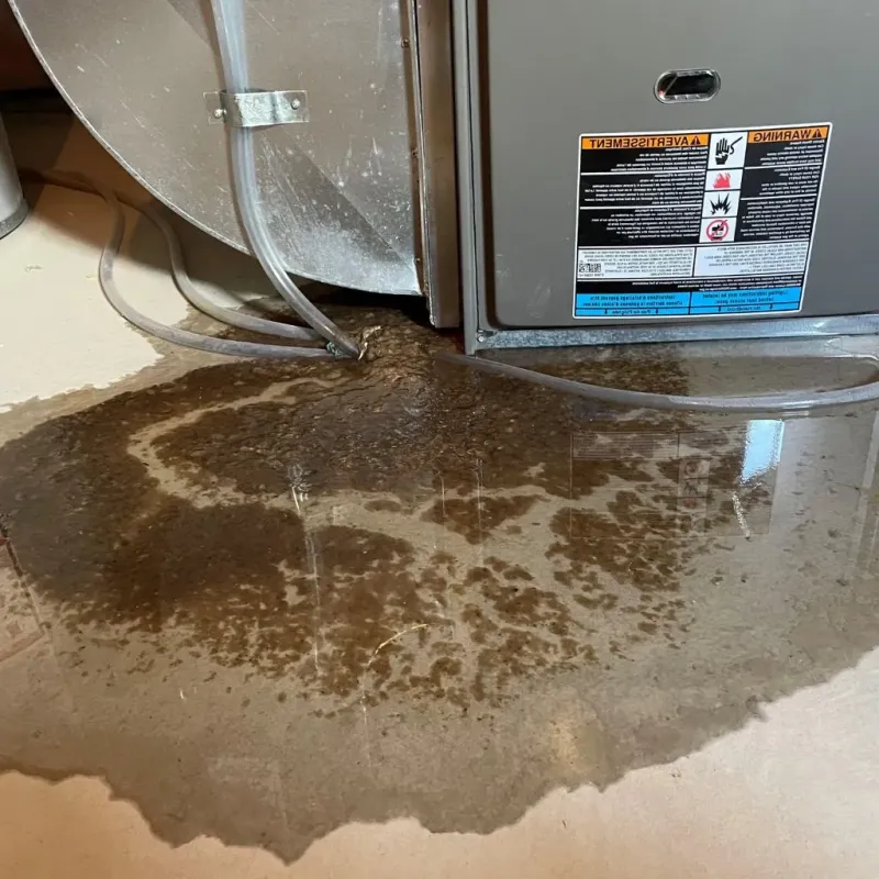 Pipe Burst and Leak Restoration in Blue Earth, MN